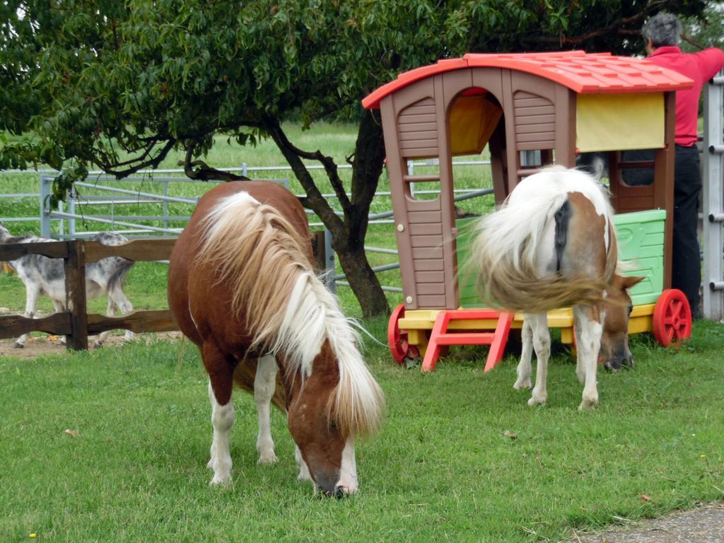 Bed And Breakfast Azienda Agricola Cascina Salazzara มาเจ็นตา ภายนอก รูปภาพ