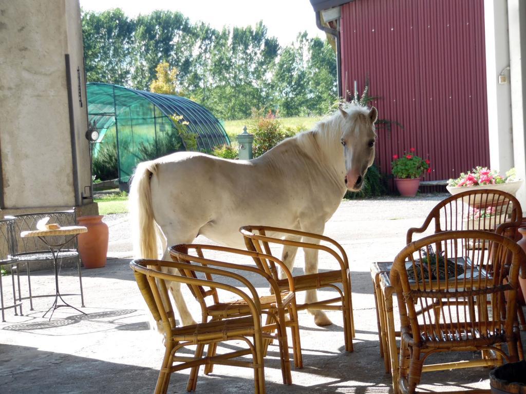 Bed And Breakfast Azienda Agricola Cascina Salazzara มาเจ็นตา ภายนอก รูปภาพ