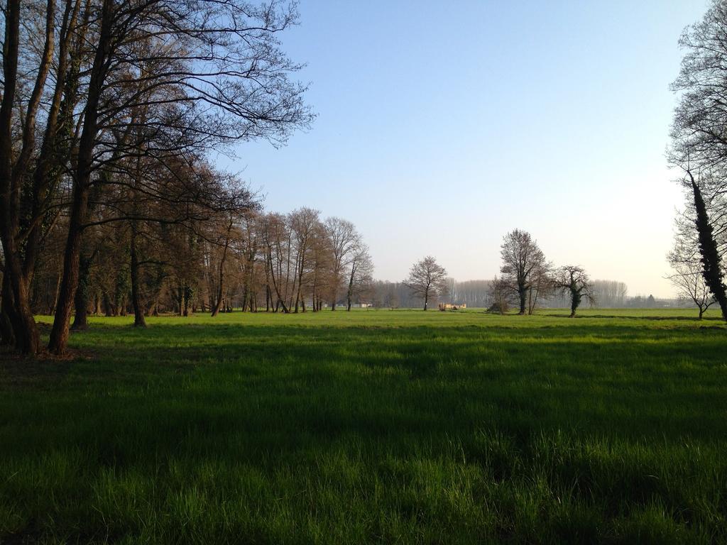 Bed And Breakfast Azienda Agricola Cascina Salazzara มาเจ็นตา ภายนอก รูปภาพ